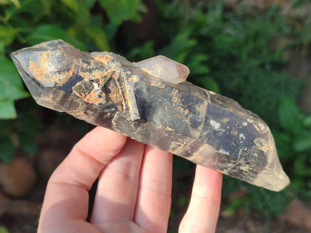 Natural Smokey Quartz Crystals x 5 From Malawi - Toprock Gemstones and Minerals 
