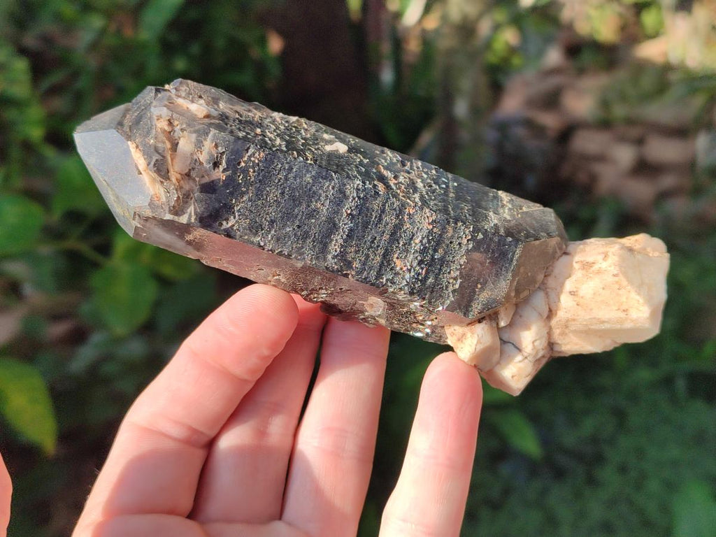 Natural Smokey Quartz Crystals x 5 From Malawi - Toprock Gemstones and Minerals 
