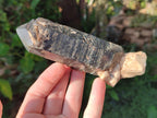 Natural Smokey Quartz Crystals x 5 From Malawi - Toprock Gemstones and Minerals 