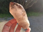 Natural Smokey Quartz Crystals x 5 From Malawi - Toprock Gemstones and Minerals 