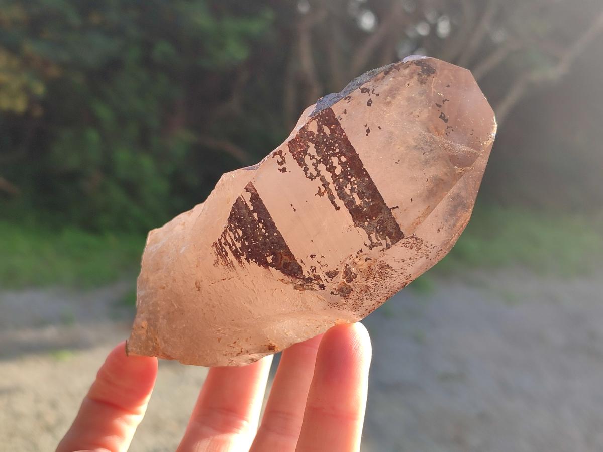 Natural Smokey Quartz Crystals x 5 From Malawi - Toprock Gemstones and Minerals 