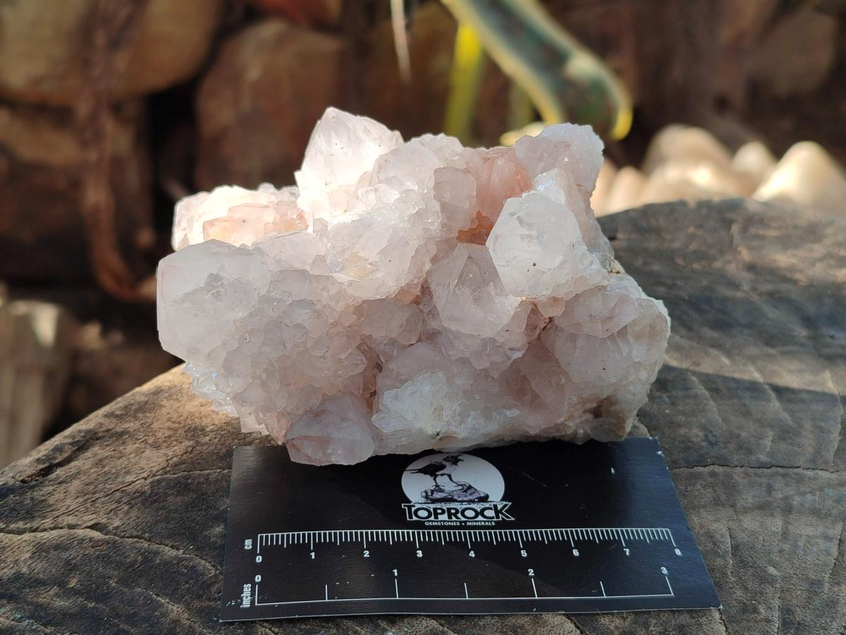 Natural White Spirit Amethyst Clusters x 3 From Boekenhouthoek, South Africa - Toprock Gemstones and Minerals 