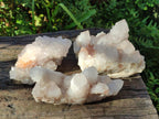 Natural White Spirit Amethyst Clusters x 3 From Boekenhouthoek, South Africa - Toprock Gemstones and Minerals 
