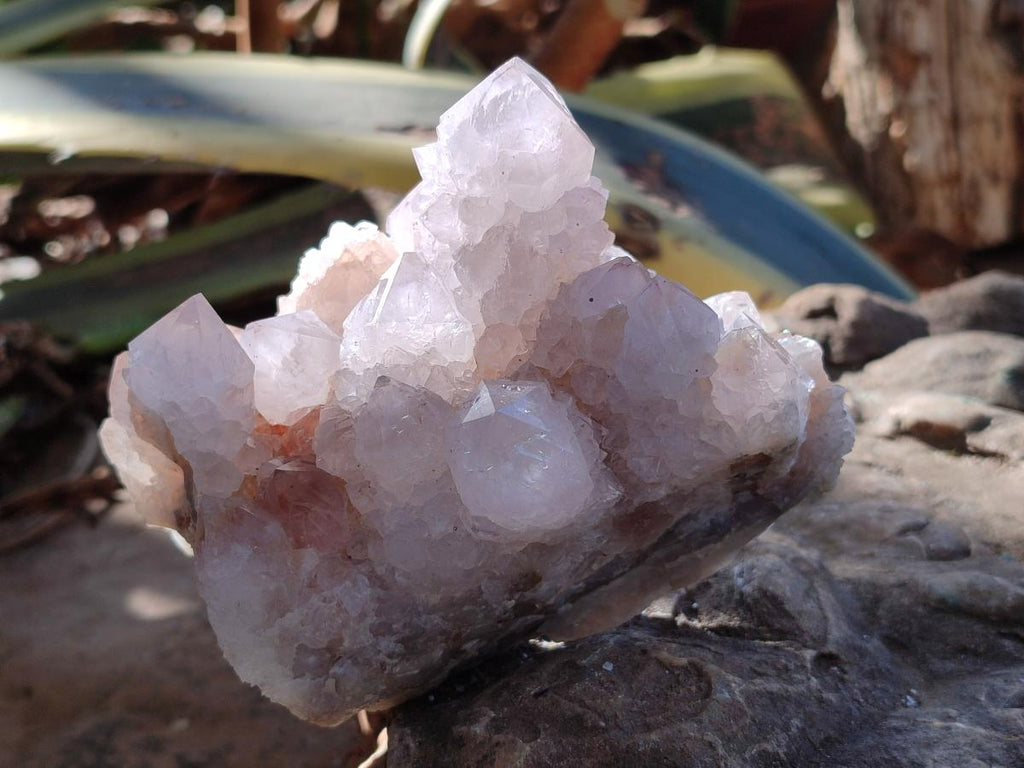 Natural White Spirit Amethyst Clusters x 3 From Boekenhouthoek, South Africa - Toprock Gemstones and Minerals 