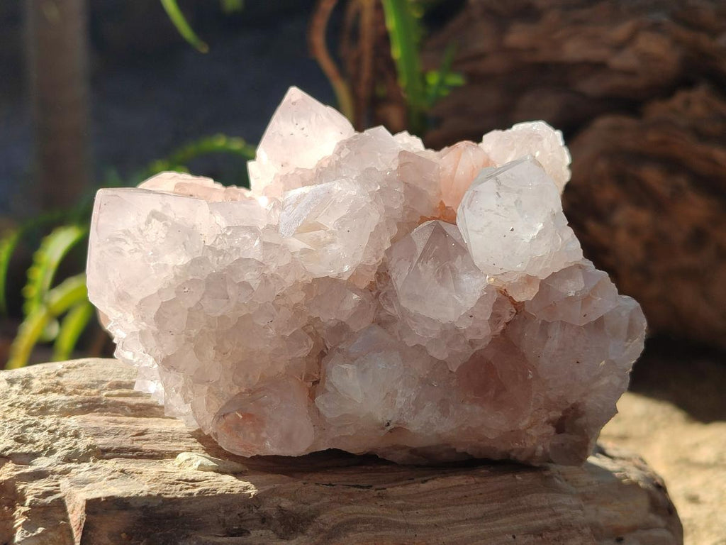 Natural White Spirit Amethyst Clusters x 3 From Boekenhouthoek, South Africa - Toprock Gemstones and Minerals 