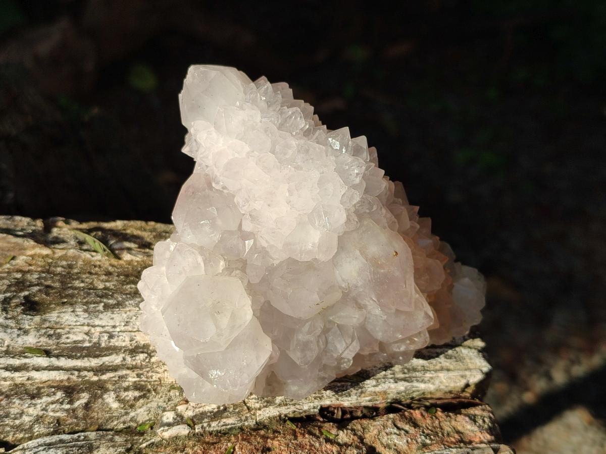 Natural White Spirit Amethyst Clusters x 3 From Boekenhouthoek, South Africa - Toprock Gemstones and Minerals 