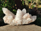 Natural White Spirit Amethyst Clusters x 3 From Boekenhouthoek, South Africa - Toprock Gemstones and Minerals 