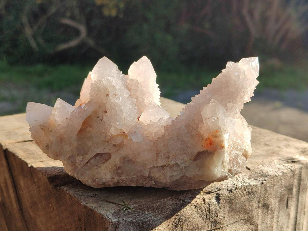 Natural White Spirit Amethyst Clusters x 3 From Boekenhouthoek, South Africa - Toprock Gemstones and Minerals 