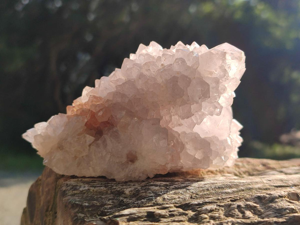 Natural White Spirit Amethyst Clusters x 3 From Boekenhouthoek, South Africa - Toprock Gemstones and Minerals 