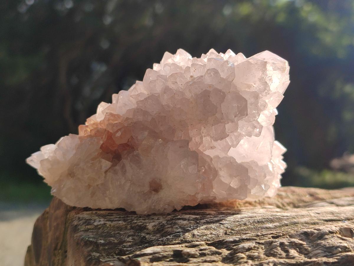 Natural White Spirit Amethyst Clusters x 3 From Boekenhouthoek, South Africa - Toprock Gemstones and Minerals 