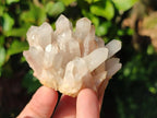 Natural Malagasy Quartz Crystal Clusters x 12 From Madagascar - Toprock Gemstones and Minerals 