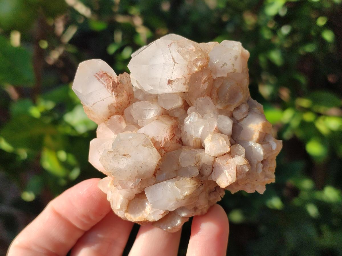 Natural Malagasy Quartz Crystal Clusters x 12 From Madagascar - Toprock Gemstones and Minerals 