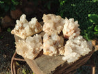 Natural Malagasy Quartz Crystal Clusters x 12 From Madagascar - Toprock Gemstones and Minerals 