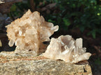 Natural Malagasy Quartz Crystal Clusters x 12 From Madagascar - Toprock Gemstones and Minerals 