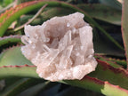 Natural Malagasy Quartz Crystal Clusters x 12 From Madagascar - Toprock Gemstones and Minerals 