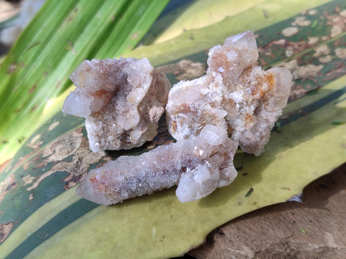 Natural Limonite Fairy Spirit Quartz Crystals and Clusters x 35 From Boekenhouthoek, South Africa - Toprock Gemstones and Minerals 