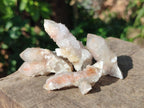 Natural Limonite Fairy Spirit Quartz Crystals and Clusters x 35 From Boekenhouthoek, South Africa - Toprock Gemstones and Minerals 
