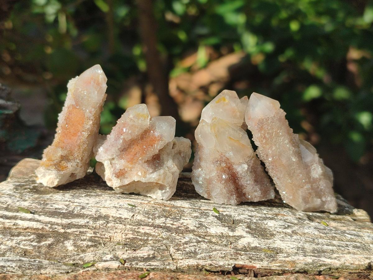 Natural Limonite Fairy Spirit Quartz Crystals and Clusters x 35 From Boekenhouthoek, South Africa - Toprock Gemstones and Minerals 