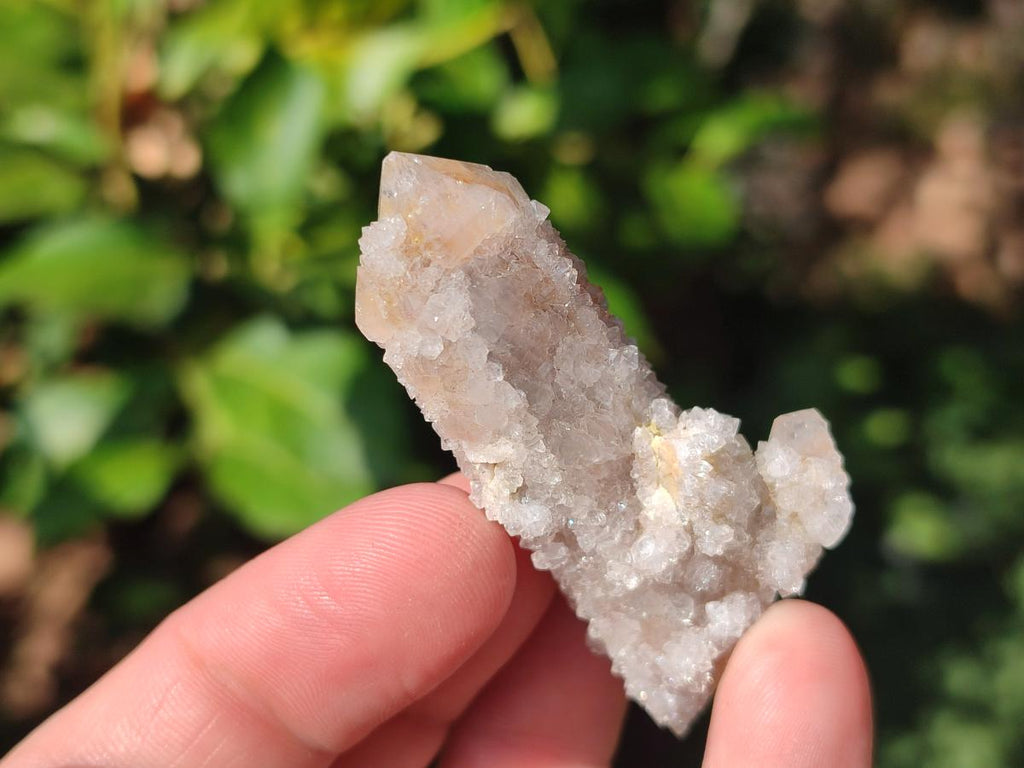 Natural Limonite Fairy Spirit Quartz Crystals and Clusters x 35 From Boekenhouthoek, South Africa - Toprock Gemstones and Minerals 