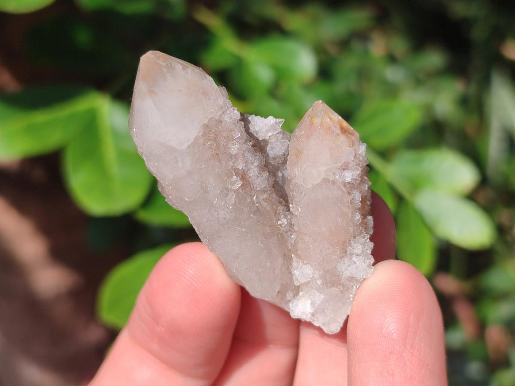 Natural Limonite Fairy Spirit Quartz Crystals and Clusters x 35 From Boekenhouthoek, South Africa - Toprock Gemstones and Minerals 