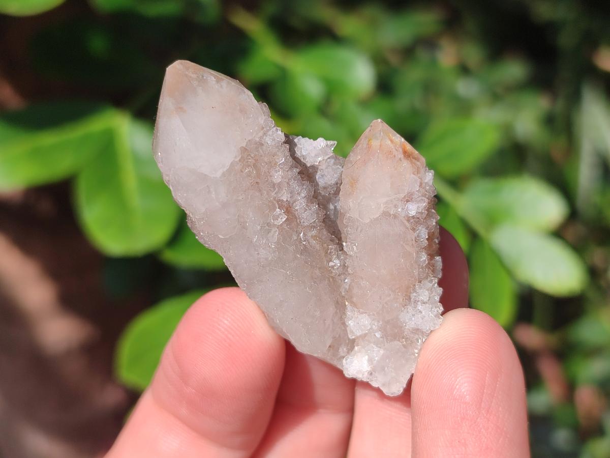 Natural Limonite Fairy Spirit Quartz Crystals and Clusters x 35 From Boekenhouthoek, South Africa - Toprock Gemstones and Minerals 
