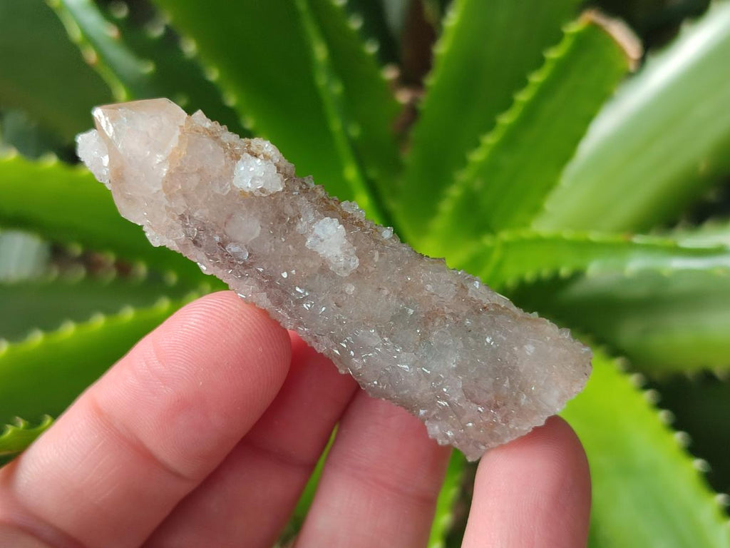 Natural Limonite Fairy Spirit Quartz Crystals and Clusters x 35 From Boekenhouthoek, South Africa - Toprock Gemstones and Minerals 