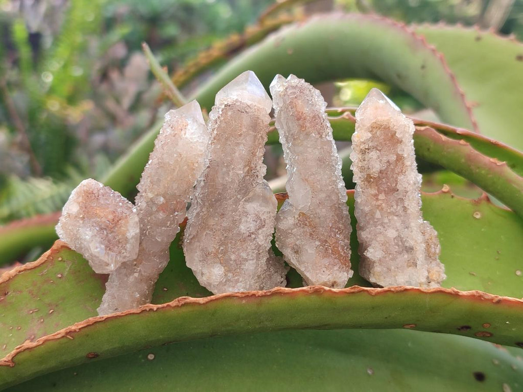 Natural Limonite Fairy Spirit Quartz Crystals and Clusters x 35 From Boekenhouthoek, South Africa - Toprock Gemstones and Minerals 