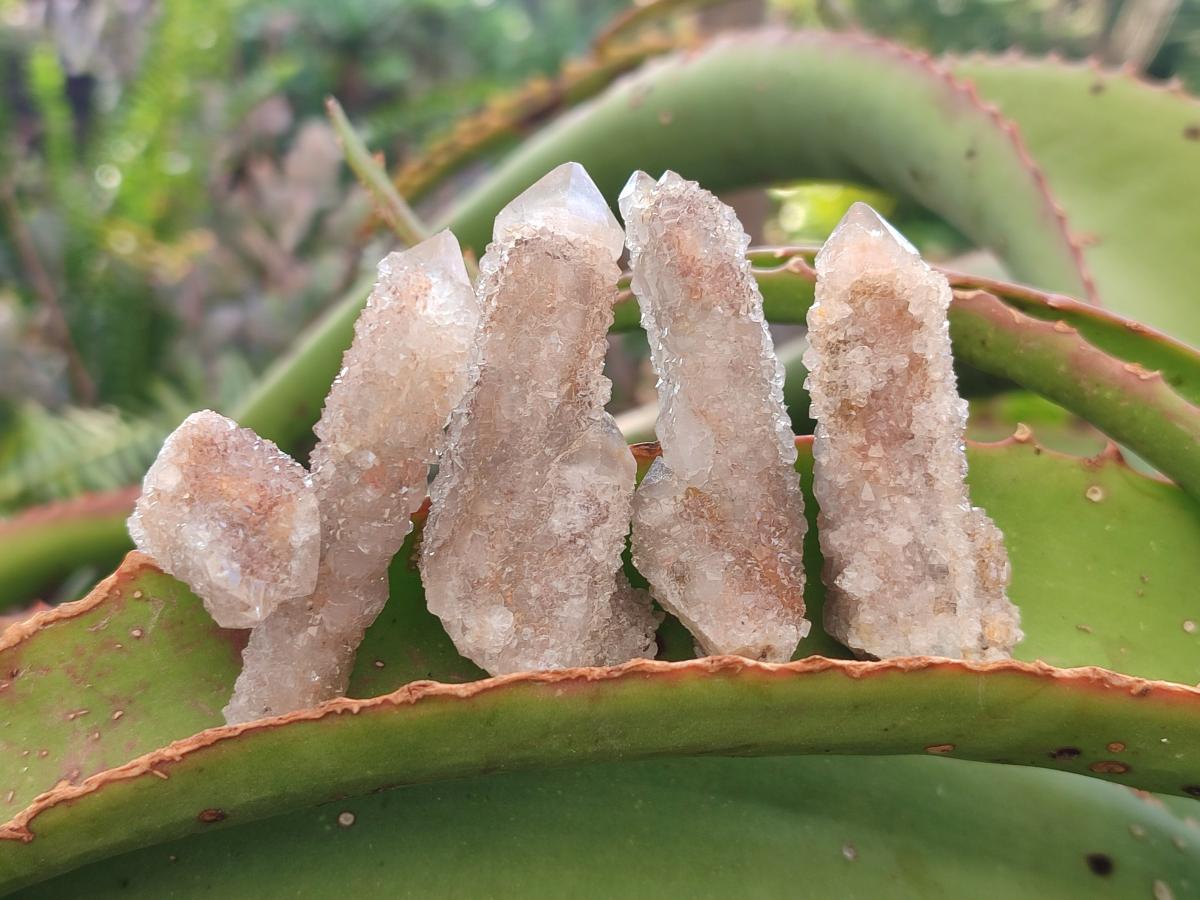 Natural Limonite Fairy Spirit Quartz Crystals and Clusters x 35 From Boekenhouthoek, South Africa - Toprock Gemstones and Minerals 