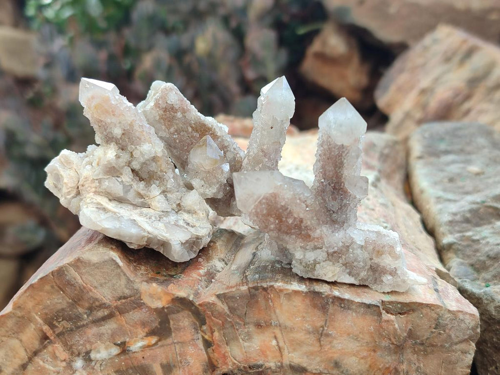 Natural Limonite Fairy Spirit Quartz Crystals and Clusters x 35 From Boekenhouthoek, South Africa - Toprock Gemstones and Minerals 