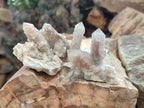Natural Limonite Fairy Spirit Quartz Crystals and Clusters x 35 From Boekenhouthoek, South Africa - Toprock Gemstones and Minerals 