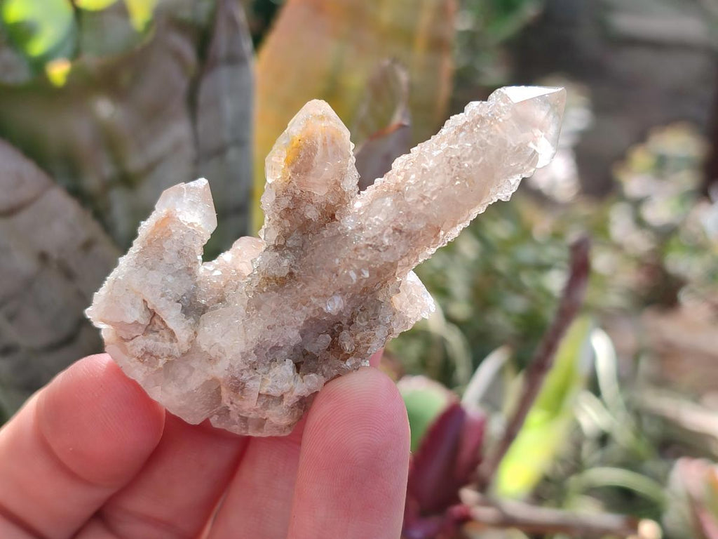 Natural Limonite Fairy Spirit Quartz Crystals and Clusters x 35 From Boekenhouthoek, South Africa - Toprock Gemstones and Minerals 