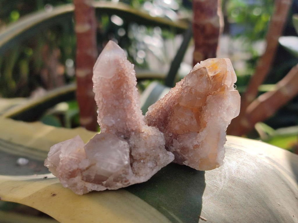 Natural Limonite Fairy Spirit Quartz Crystals and Clusters x 35 From Boekenhouthoek, South Africa - Toprock Gemstones and Minerals 
