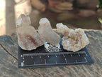 Natural Limonite Fairy Spirit Quartz Crystals and Clusters x 35 From Boekenhouthoek, South Africa - Toprock Gemstones and Minerals 