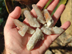 Natural Limonite Fairy Spirit Quartz Crystals and Clusters x 35 From Boekenhouthoek, South Africa - Toprock Gemstones and Minerals 