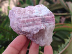 Natural Pink Rubellite Tourmaline Specimens x 3 From Karibib, Namibia - Toprock Gemstones and Minerals 