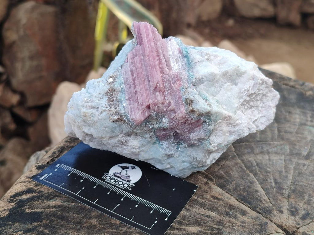Natural Pink Rubellite Tourmaline Specimens x 3 From Karibib, Namibia - Toprock Gemstones and Minerals 