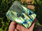 Polished Labradorite Standing Display Pieces x 2 From Madagascar - Toprock Gemstones and Minerals 
