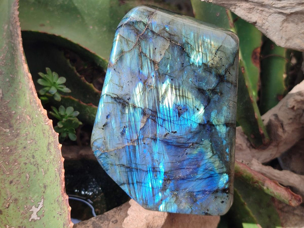 Polished Labradorite Standing Display Pieces x 2 From Madagascar - Toprock Gemstones and Minerals 