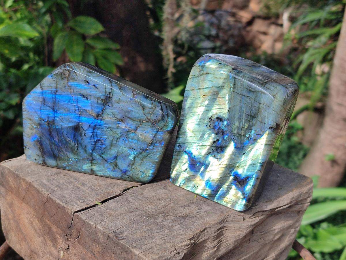 Polished Labradorite Standing Display Pieces x 2 From Madagascar - Toprock Gemstones and Minerals 