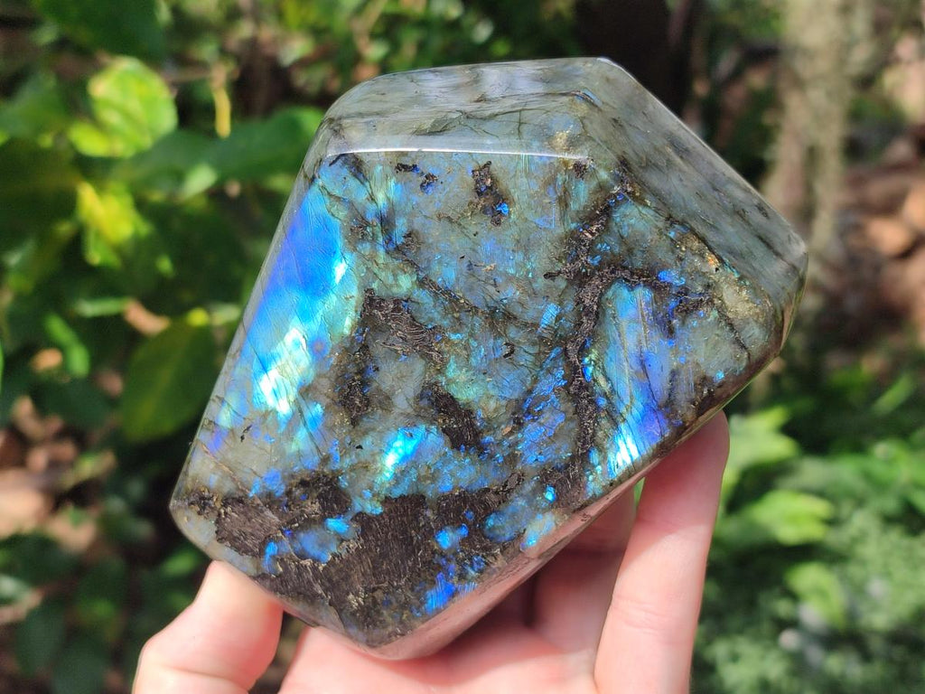 Polished Labradorite Standing Display Pieces x 2 From Madagascar - Toprock Gemstones and Minerals 