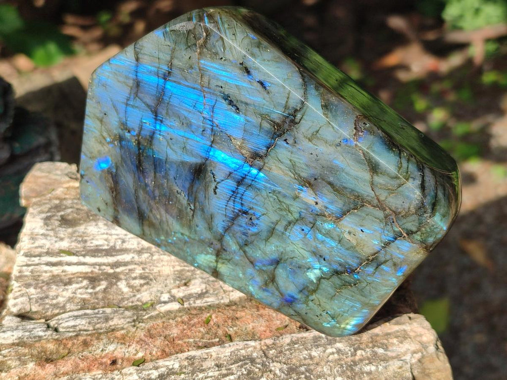 Polished Labradorite Standing Display Pieces x 2 From Madagascar - Toprock Gemstones and Minerals 