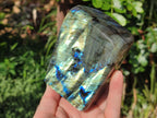 Polished Labradorite Standing Display Pieces x 2 From Madagascar - Toprock Gemstones and Minerals 