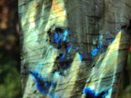 Polished Labradorite Standing Display Pieces x 2 From Madagascar - Toprock Gemstones and Minerals 