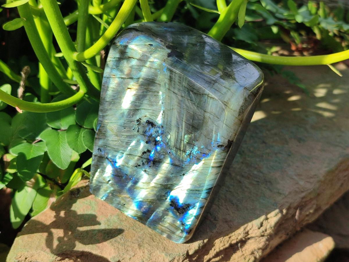Polished Labradorite Standing Display Pieces x 2 From Madagascar - Toprock Gemstones and Minerals 