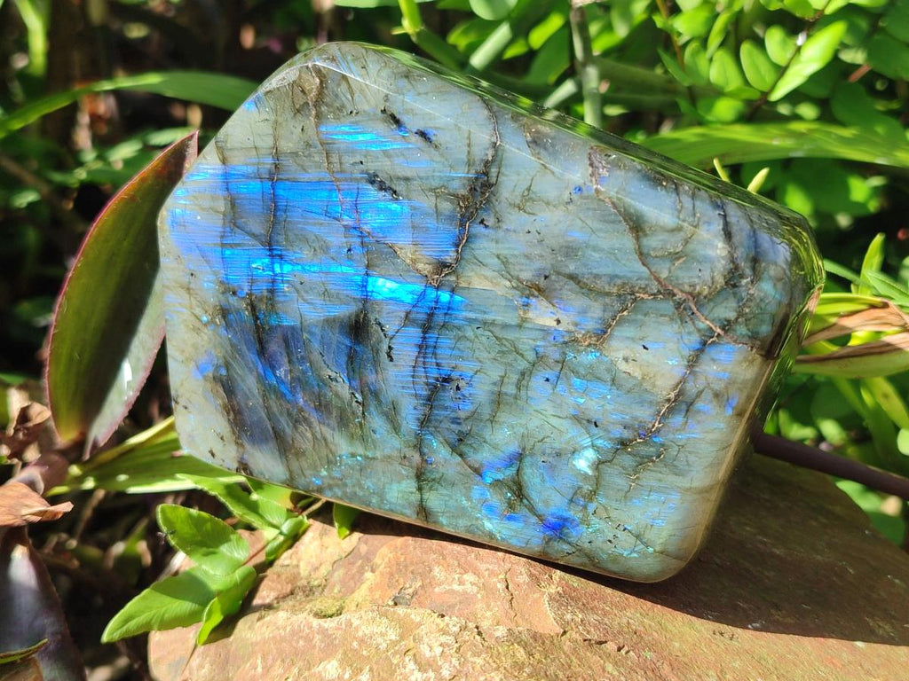 Polished Labradorite Standing Display Pieces x 2 From Madagascar - Toprock Gemstones and Minerals 