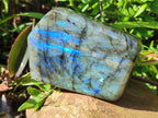 Polished Labradorite Standing Display Pieces x 2 From Madagascar - Toprock Gemstones and Minerals 