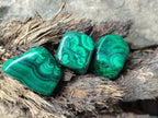 Polished Flower Banded Malachite Free Forms x 35 From Congo - Toprock Gemstones and Minerals 