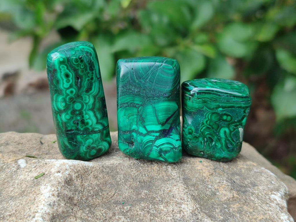 Polished Flower Banded Malachite Free Forms x 35 From Congo - Toprock Gemstones and Minerals 
