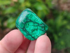 Polished Flower Banded Malachite Free Forms x 35 From Congo - Toprock Gemstones and Minerals 