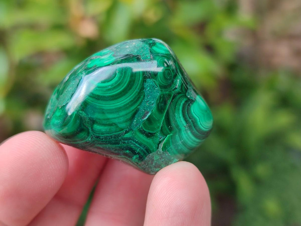 Polished Flower Banded Malachite Free Forms x 35 From Congo - Toprock Gemstones and Minerals 